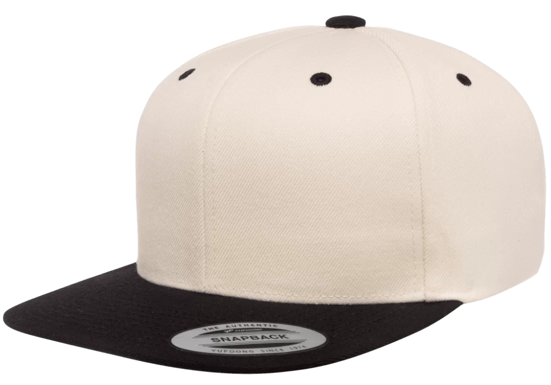 two tone snapback