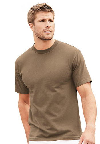 custom alstyle t-shirt